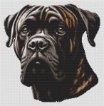 (image for) Brindle English Mastiff
